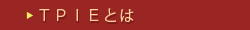 TPIE�Ƃ�